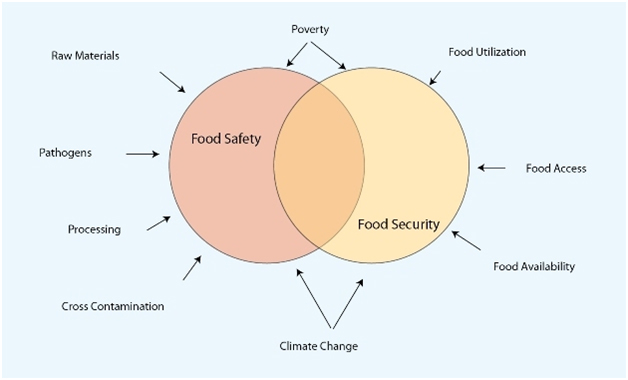 Interrelationship of food safety and food security.